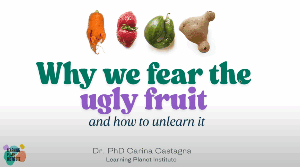 R&D Unplugged - Carina Castagna