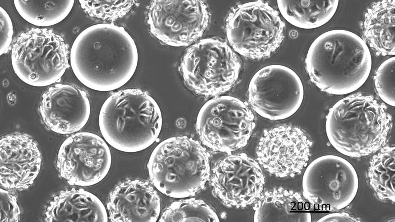 DIM BioConvS Les plateformes numériques développées au sein du Learning Planet Institute au coeur du projet BioConvergence pour la Santé