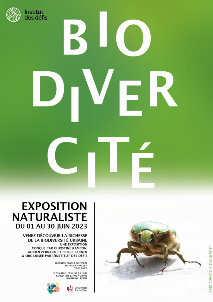 AFFICHE BIODIVERCITE RS 2 Exposition BiodiverCité, exposition naturaliste pour découvrir la richesse de la biodiversité urbaine