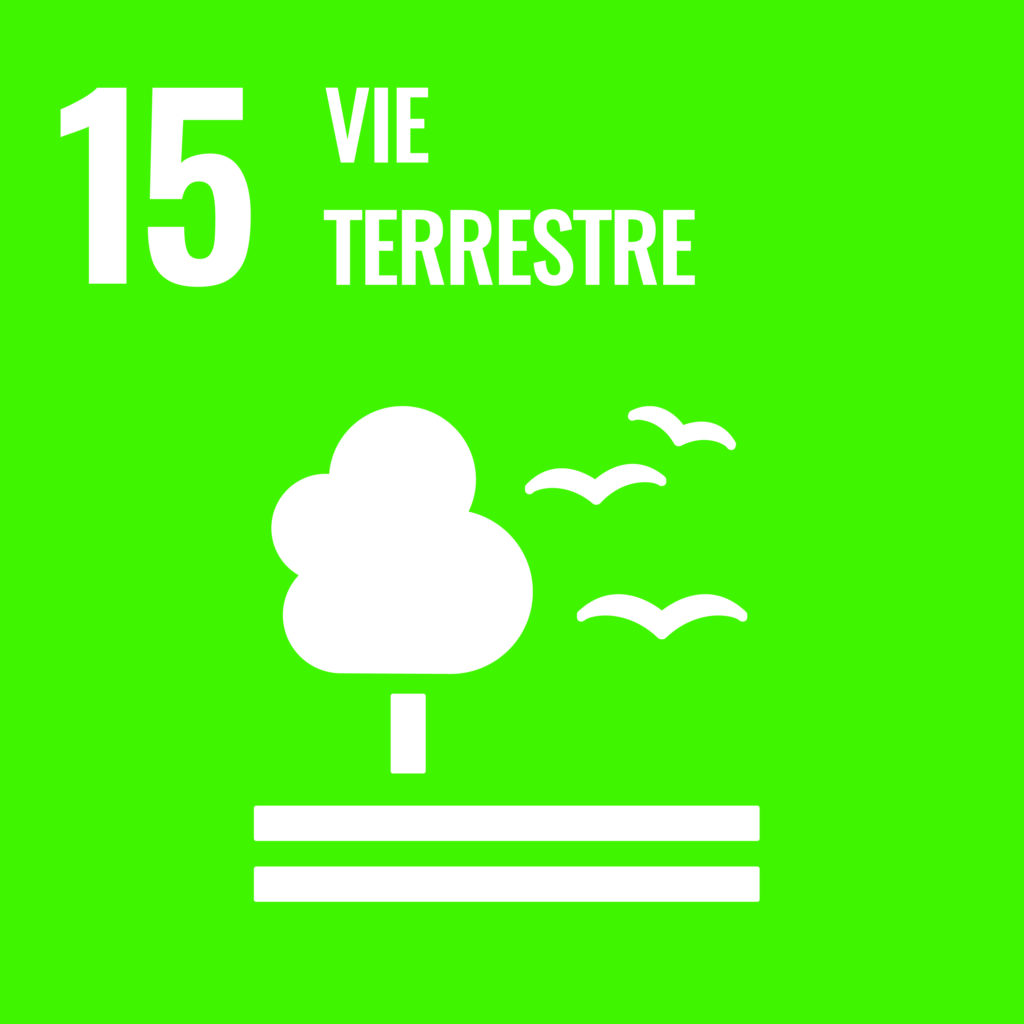 F SDG PRINT 15 Rencontre Bâtisseurs de Possibles : les élèves partagent leurs projets pour un monde durable