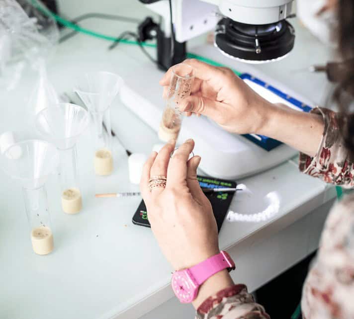 Antoine Jégou, Martin Lenz and Lydia Robert were honored for their research work in biophysics by the Bettencourt Schueller Foundation in November 2022. What all three researchers have in common is their close link with the Learning Planet Institute. A look back at the inspiring experiences and careers of two of them --- Learning Planet Institute ©AntoninWeber_HansLucas