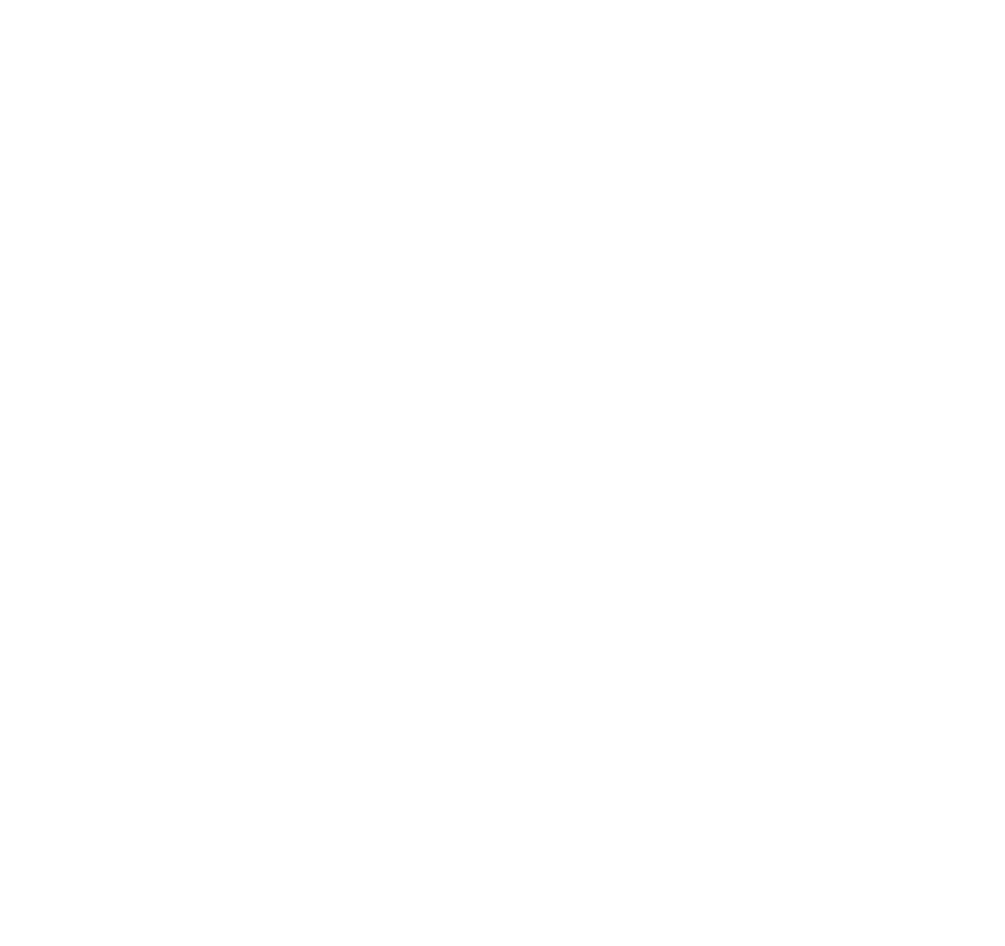 LPI_LOGO_MONOCHROME_WHITE