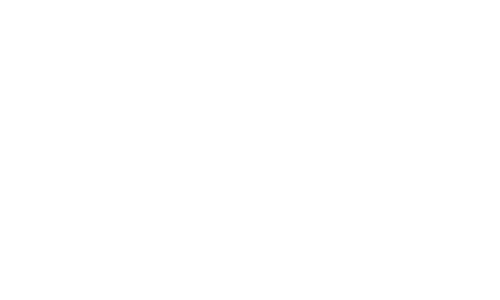 Logo Ikigai