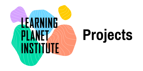 LPI_RVB_PROJECTS_H
