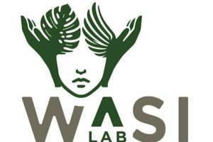 Logo WasiLab ©IRD-DR